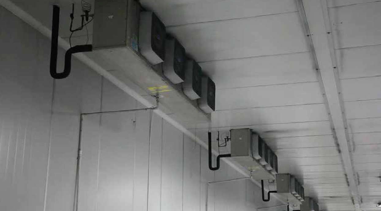 Captura de pantalla 2024-07-10 112328